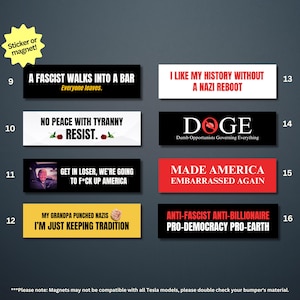 Funny Anti MAGA Bumper Sticker Political Humor Magnet Anti Fascism Anti Elon Magnet Resist Decal Anti Trump Activist Gift Liberal Leftist