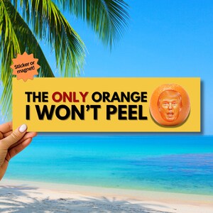 Orange Trump Funny Anti Maga Bumper Sticker Political Humor Magnet Anti Fascism Gift Resist Activist Decal Anti Trump Gift Progressive FDT