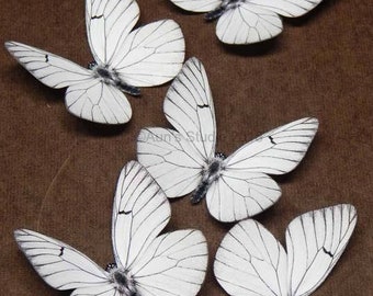 Realistic White paper butterflies