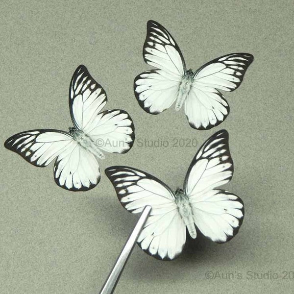 Realistic black and white paper butterflies, set of three medium size