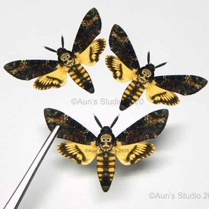May include: Three black and yellow death's-head hawk moths with skull-like markings on their thorax. The moths are mounted on a white background.