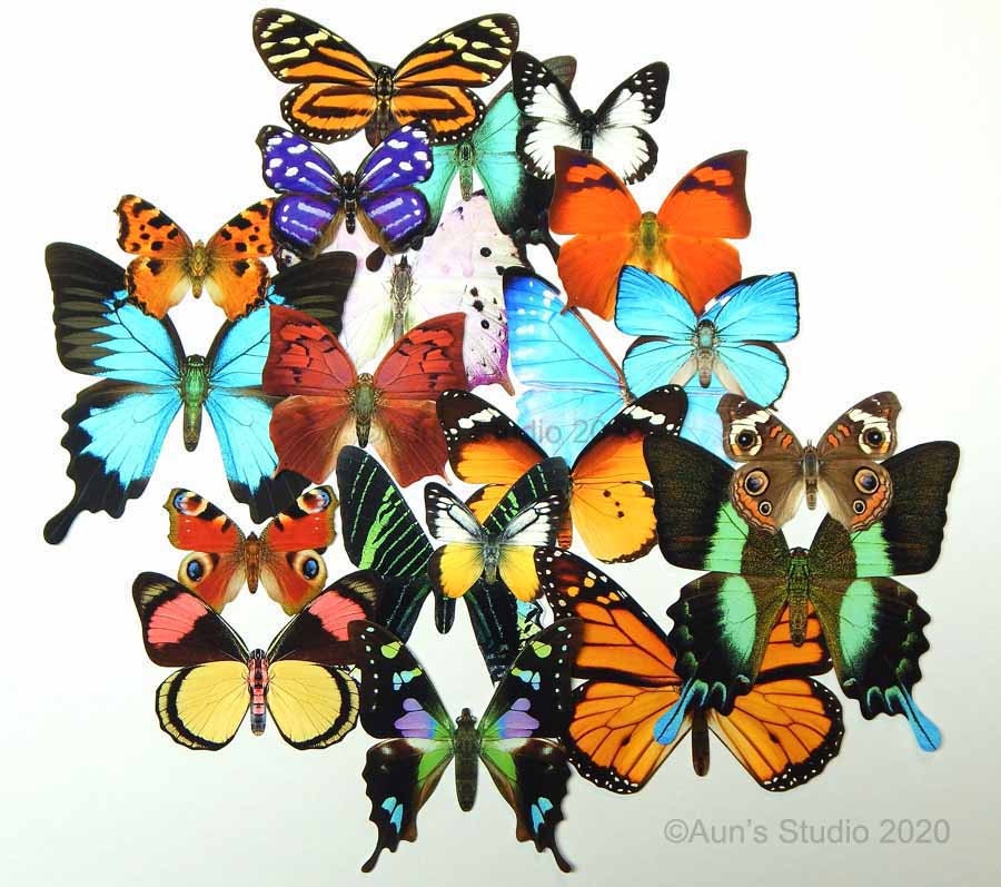 Paper Butterflies, 20 Pieces, 2 6 Paper Butterfly Cutouts, Butterfly Die  Cut Shapes, Butterfly Party Decorations, Paper Butterfly Blanks 