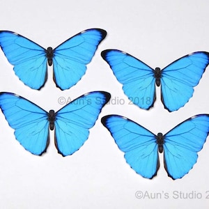 K&ouml;nnte beinhalten: Vier leuchtend blaue Schmetterlingsdekorationen mit schwarzen R&auml;ndern und detaillierten Fl&uuml;gelmustern sind vor einem wei&szlig;en Hintergrund angeordnet. Die Schmetterlinge sind symmetrisch, mit ge&ouml;ffneten Fl&uuml;geln, die ihre filigranen Muster zeigen. Der Text "&copy;Aun's Studio 2018" ist enthalten.