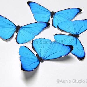 May include: Five vibrant blue butterflies with black accents are arranged on a white surface. The butterflies have detailed wing patterns and are in various positions, showcasing their delicate features. The image includes the text "©Aun's Studio 2018".
