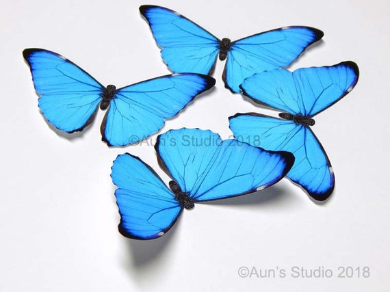 Blue butterfly paper cutouts realistic morpho butterfly mockup, 4 pieces