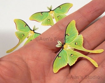 Small Luna moth paper cutouts set of three pieces One sided