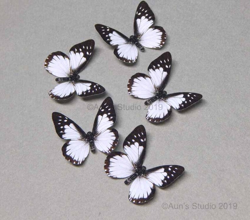 Black And White Realistic Paper Butterfly Cutouts 5 Pieces Etsy