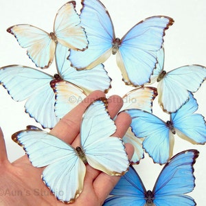 Light blue paper butterflies 10 pieces Single sided cutouts