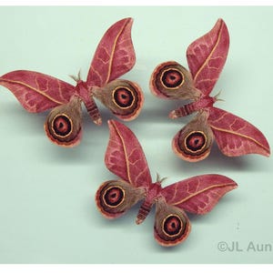 May include: Three pink and brown butterflies with large eye-like markings on their wings. The butterflies are arranged in a triangular pattern on a light blue background.