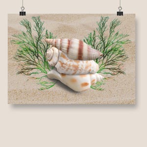 A3 Plakat
