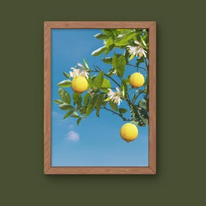 Bild A4
