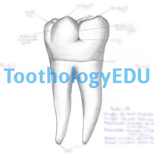 Tooth Drawing Lower First Molar – 4 Views (occlusal, Mesial, Buccal ...