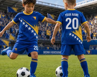 Custom Bosnia Soccer Jersey, Bosnia Soccer Jersey For Men Women Youth Kid, Football Fan Shirt 2026, Personalized Name & Number