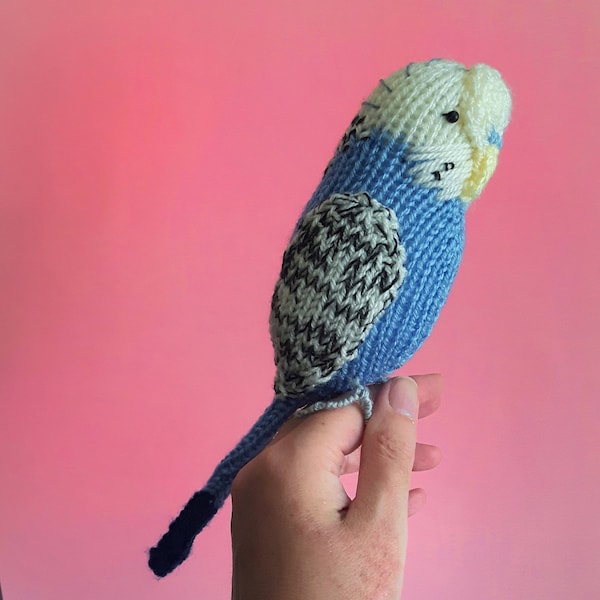 Parakeet knitting pattern - green and blue budgie knitting pattern Sparky and Coco cute budgerigar parrot