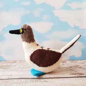 Blue Footed Booby knitting pattern - Bryan the Blue Footed Booby - cute bird knitting pattern