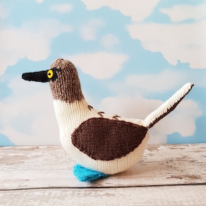 Blue Footed Booby knitting pattern - Bryan the Blue Footed Booby - cute bird knitting pattern