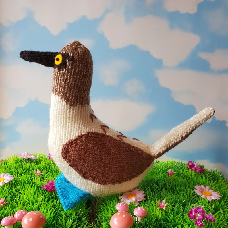 Blue Footed Booby knitting pattern Bryan the Blue Footed Booby cute bird knitting pattern image 5