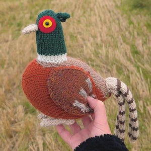 May include: A knitted pheasant toy with a green head, red eye ring, and orange body. The bird has a white beak and a patterned tail. The toy is made of yarn and is designed to look like a real pheasant.