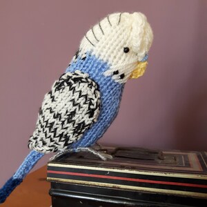 Parakeet knit kit Sparky the Budgie knit kit cute parakeet knit kit, knitting pattern, yarn and button badge Perfect budgerigar gift image 8