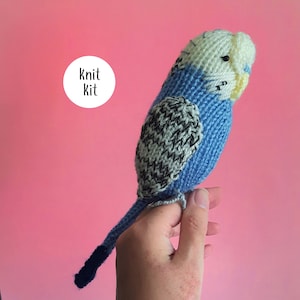 Parakeet knit kit - Sparky the Budgie knit kit - cute parakeet knit kit, knitting pattern, yarn and button badge! Perfect budgerigar gift