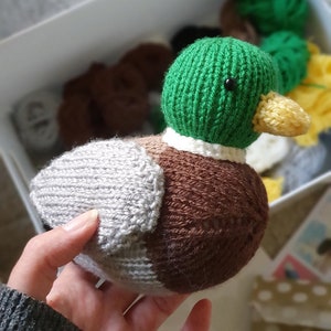 Mallard duck knit kit Beneduck Cumberquack knit a cute duck knitting kit gift with free button badge Benedict Cumberbatch image 7
