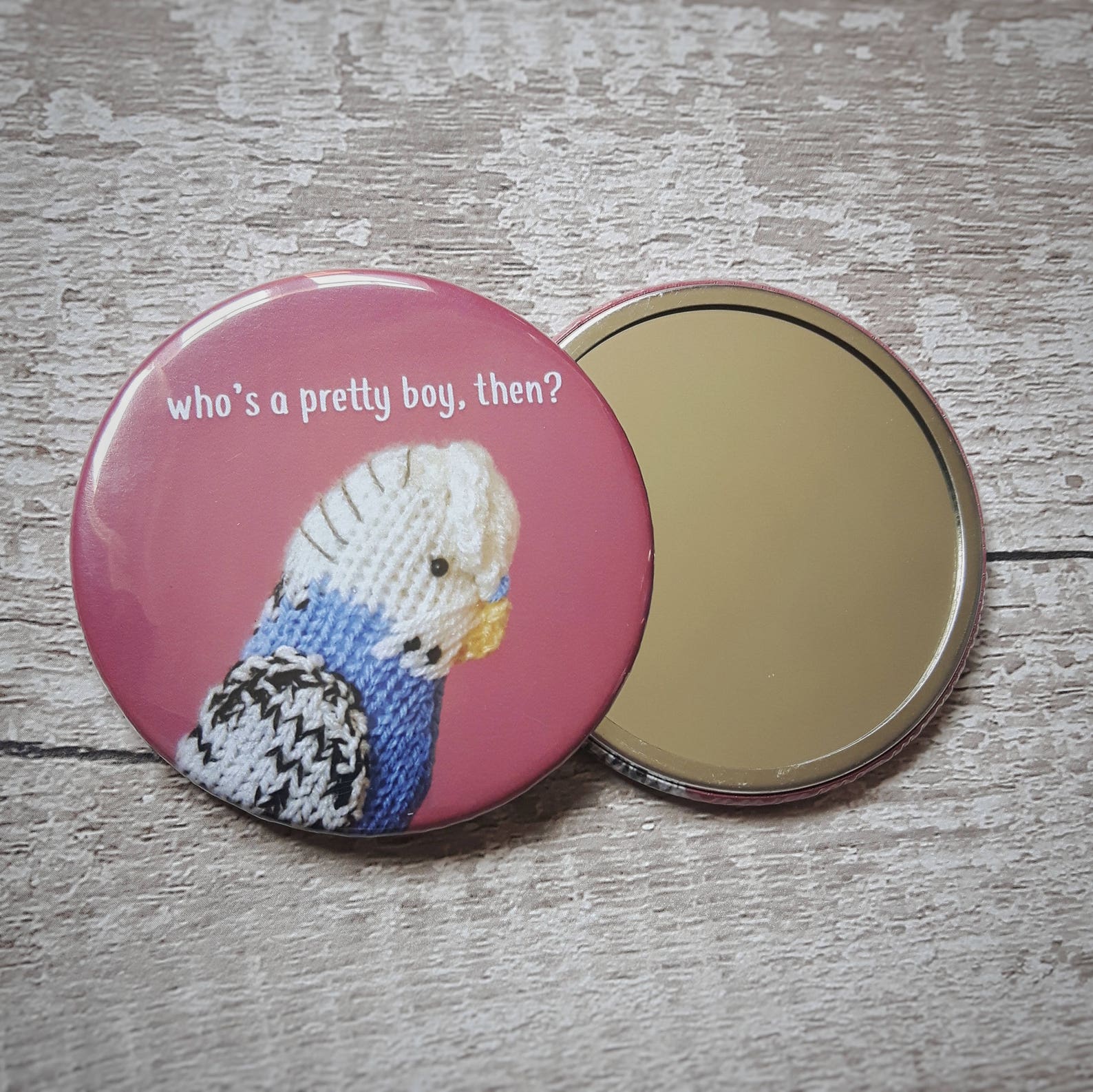 Budgie mirror parakeet mirror cute make up mirror with blue Etsy