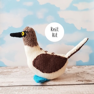 Blue footed Booby knit kit - cute bird knit kit, knitting pattern, yarn and button badge! Perfect knitting gift