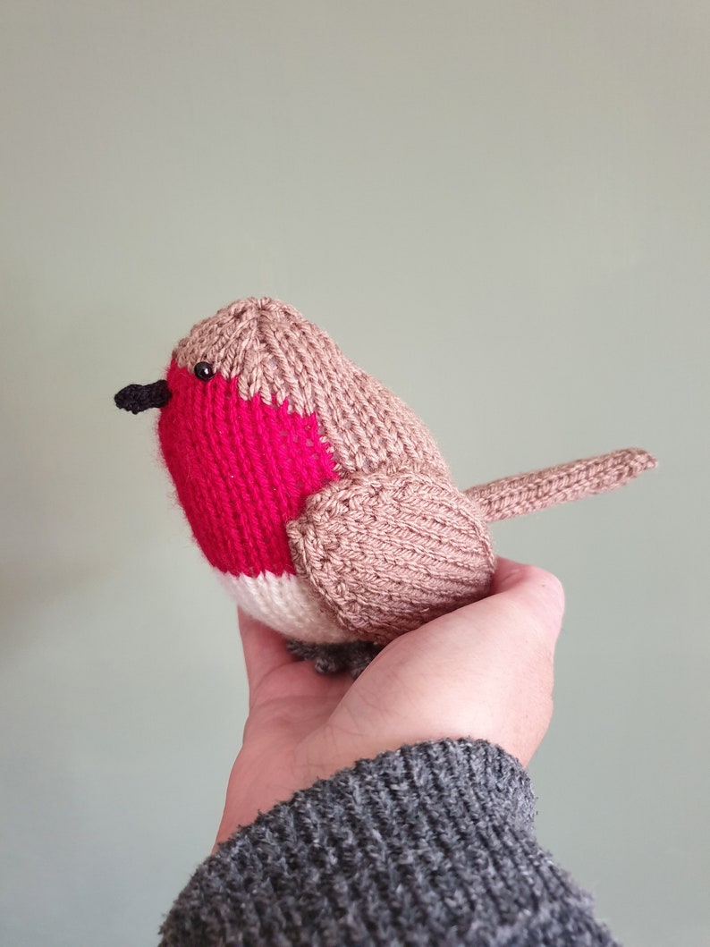 Albert the Robin Knitting Pattern Easy Knit for Beginners Etsy Ireland