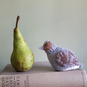Könnte beinhalten: Eine gestrickte Vogelfigur mit braunem und grauem Gefieder, die auf einem Buch neben einer grünen Birne sitzt.