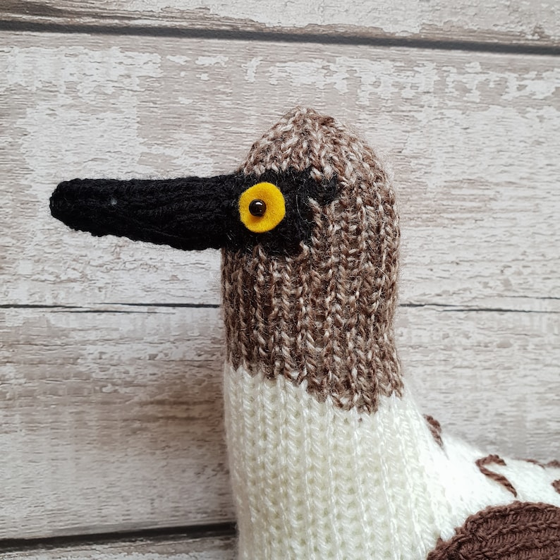 Blue Footed Booby knitting pattern Bryan the Blue Footed Booby cute bird knitting pattern image 2