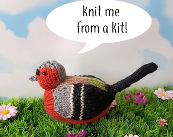 Chaffinch knit kit - Steve the Chaffinch cute bird knit kit, knitting pattern, yarn - perfect knitters gift for beginners