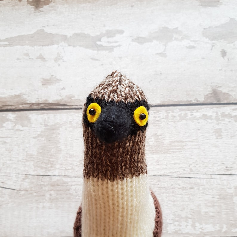 Blue Footed Booby knitting pattern Bryan the Blue Footed Booby cute bird knitting pattern image 4