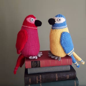 Tropical parrot toy knitting pattern - PDF - cute bird - scarlet Macaw - easy beginners knit