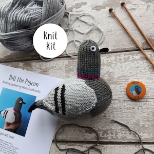 Pigeon knit kit - all you need to knit a cute pigeon - Bill the Pigeon knitting kit gift -birb button badge and printed knitting pattern!