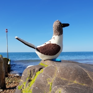 Blue Footed Booby knitting pattern Bryan the Blue Footed Booby cute bird knitting pattern image 3