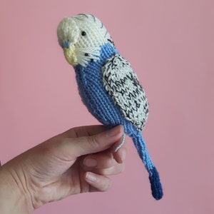 Parakeet knit kit Sparky the Budgie knit kit cute parakeet knit kit, knitting pattern, yarn and button badge Perfect budgerigar gift image 4