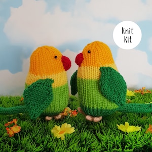 May include: Knit kit for making two lovebirds. The birds are yellow, green, and red. The birds are sitting on a bed of green grass with yellow flowers.