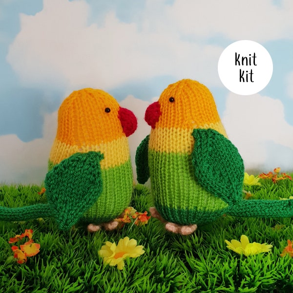 Lovebirds knit kit - cute love birds knitting kit with button badge - Lucy and Larry the love birds knitting gift!