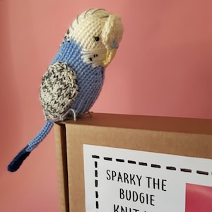 Parakeet knit kit Sparky the Budgie knit kit cute parakeet knit kit, knitting pattern, yarn and button badge Perfect budgerigar gift image 6