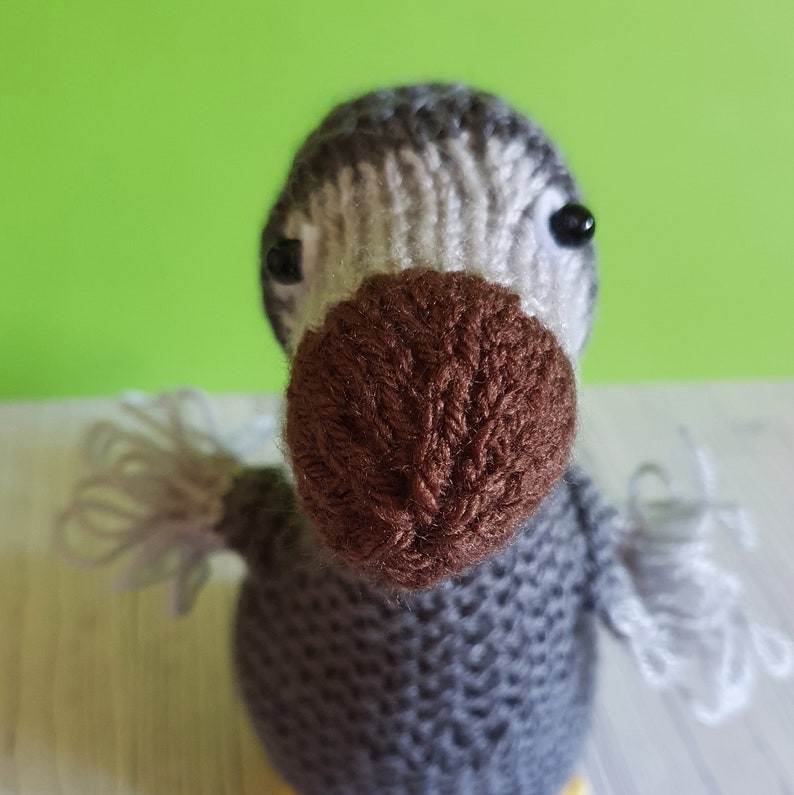 Dora the Dodo knitting pattern cute cuddly and easy to knit for beginners bird knitting pattern dodo toy image 3