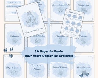Pregnancy tracking binder | Maternity file sheets (blue PDF)
