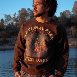 Pode incluir: Uma camisola de manga comprida e gola redonda em castanho escuro com uma impress&atilde;o gr&aacute;fica de Bigfoot, um alien&iacute;gena e um urso a assar marshmallows numa fogueira. O texto "NATIONAL PARK" est&aacute; arqueado acima e "AFTER DARK" abaixo.