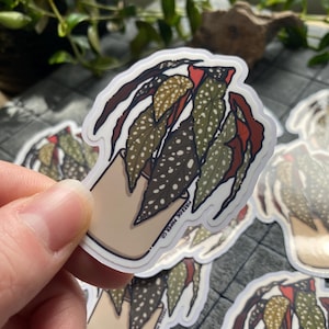 Stickers plantes | Stickers plantes tropicales | autocollant tacheté de plante d'intérieur | autocollant mignon | Sticker imperméable | Autocollants pour journaux