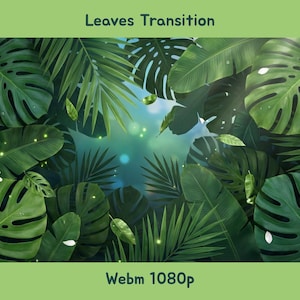 May include: A lush, green digital illustration of tropical leaves, including monstera and palm fronds. The image features the text "Leaves Transition" and "Webm 1080p" in a green banner.