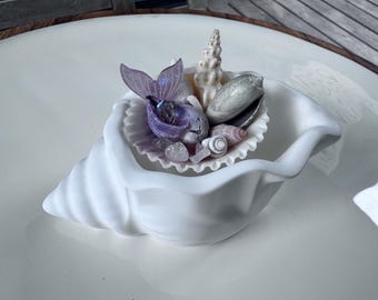 Concha colecionável de sereia | Presente para amantes do oceano | Decoração costeira com conchas | Tesouro de praia único