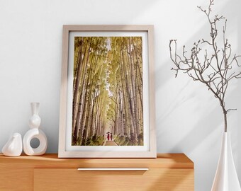 Japanese Bamboo Forest Wall Art Traditional Japan Decor, Zen Aesthetic Digital Download- Perfect for Home Decor