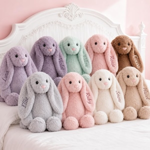 Könnte beinhalten: Eine Sammlung von zehn Plüschhasen in verschiedenen Pastell- und Naturtönen, die jeweils lange Schlappohren haben und auf dem Ohr mit den Namen Luna, Violet, Willow, Rosie, Cocoa, Ellie, Ruby, Snow und Hazel bestickt sind.