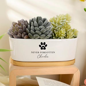 May include: A white rectangular ceramic planter with a bamboo base, containing three succulent plants. The front of the planter features a black paw print icon above the text "NEVER FORGOTTEN" and the name "Charlie" in a script font.