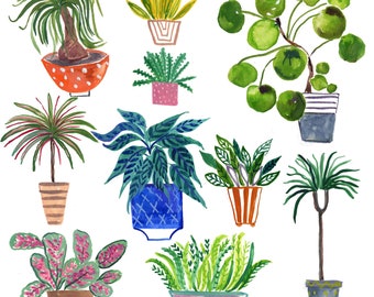 Plants illustration wall print wall art wall decor home decor by Farida Zaman