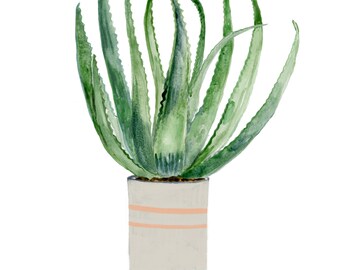 Aloe Vera in Striped Pot plant painting illustration wall print wall decor art print home decor by Farida Zaman